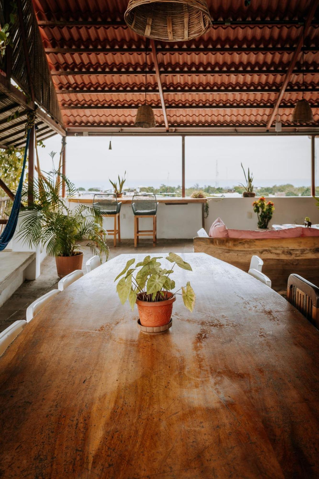 Terraza Puerto Hostel Puerto Escondido  Extérieur photo