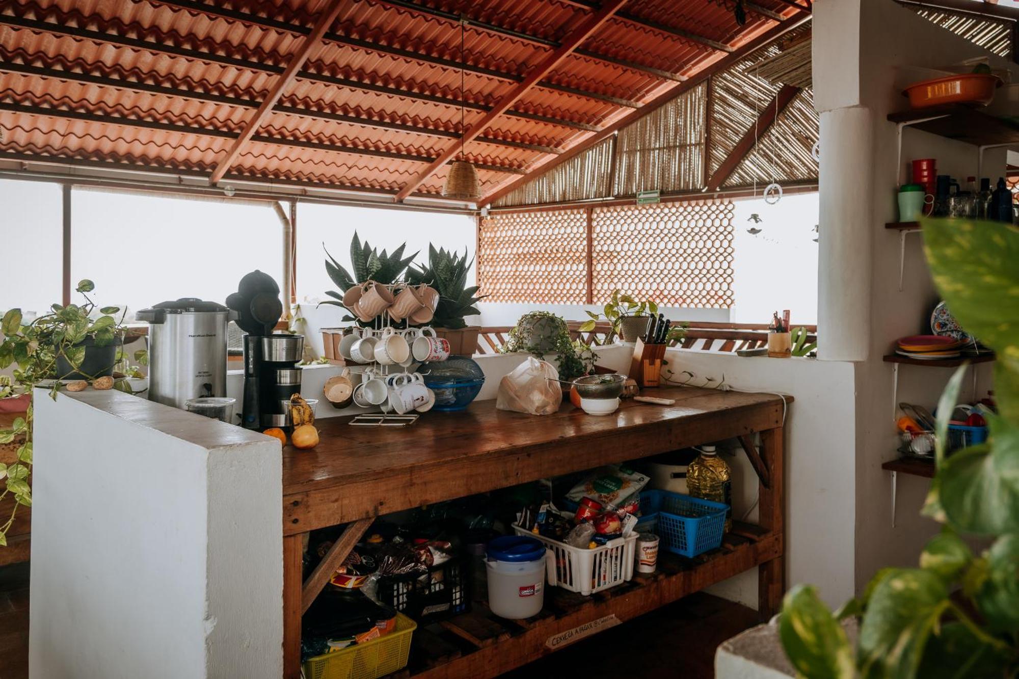 Terraza Puerto Hostel Puerto Escondido  Extérieur photo